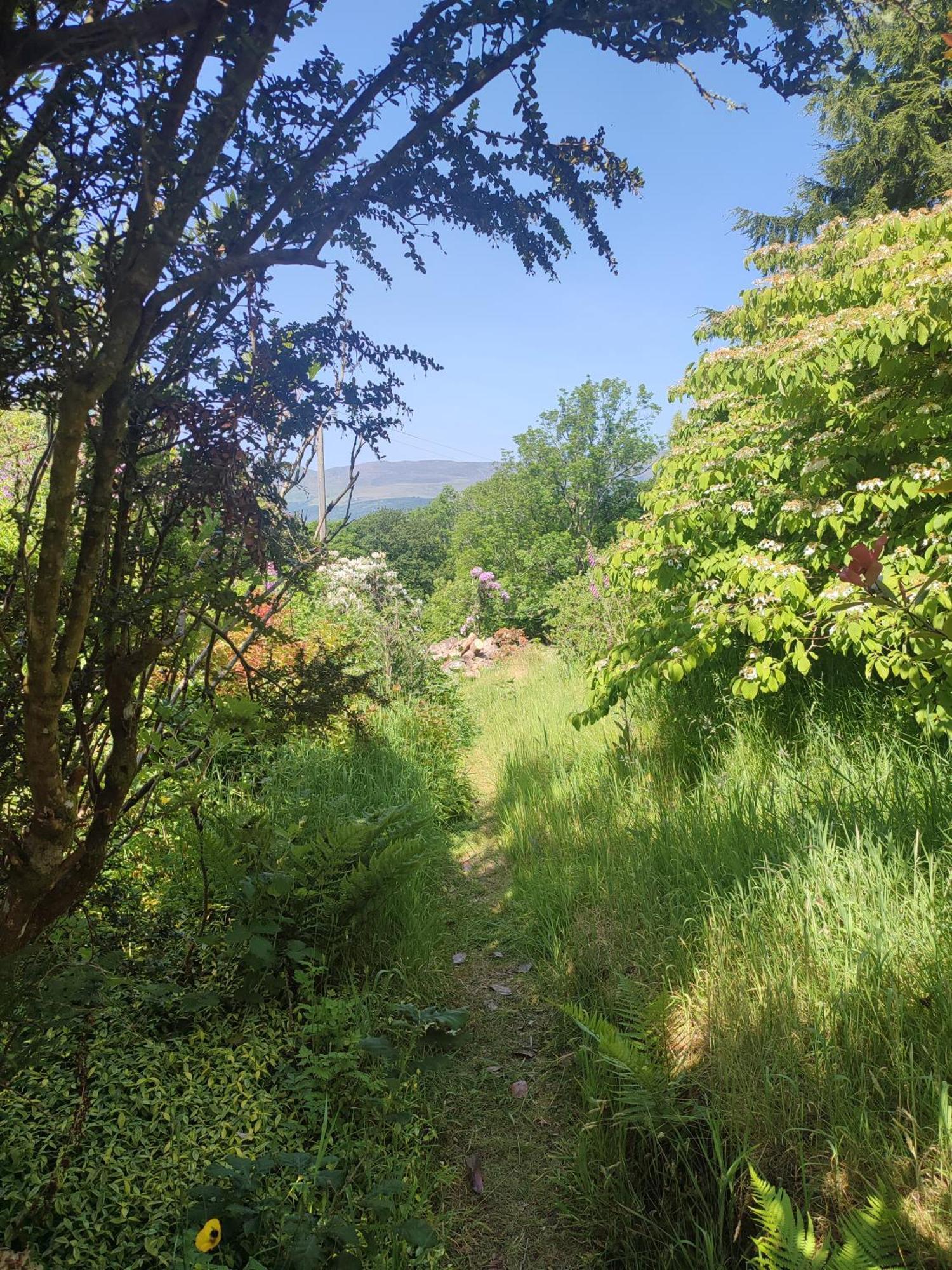 ドルゲラウ Y Cwtch - Panoramic Mountain Views Within Snowdonia'S National Park - 4X4 Recommendedヴィラ エクステリア 写真
