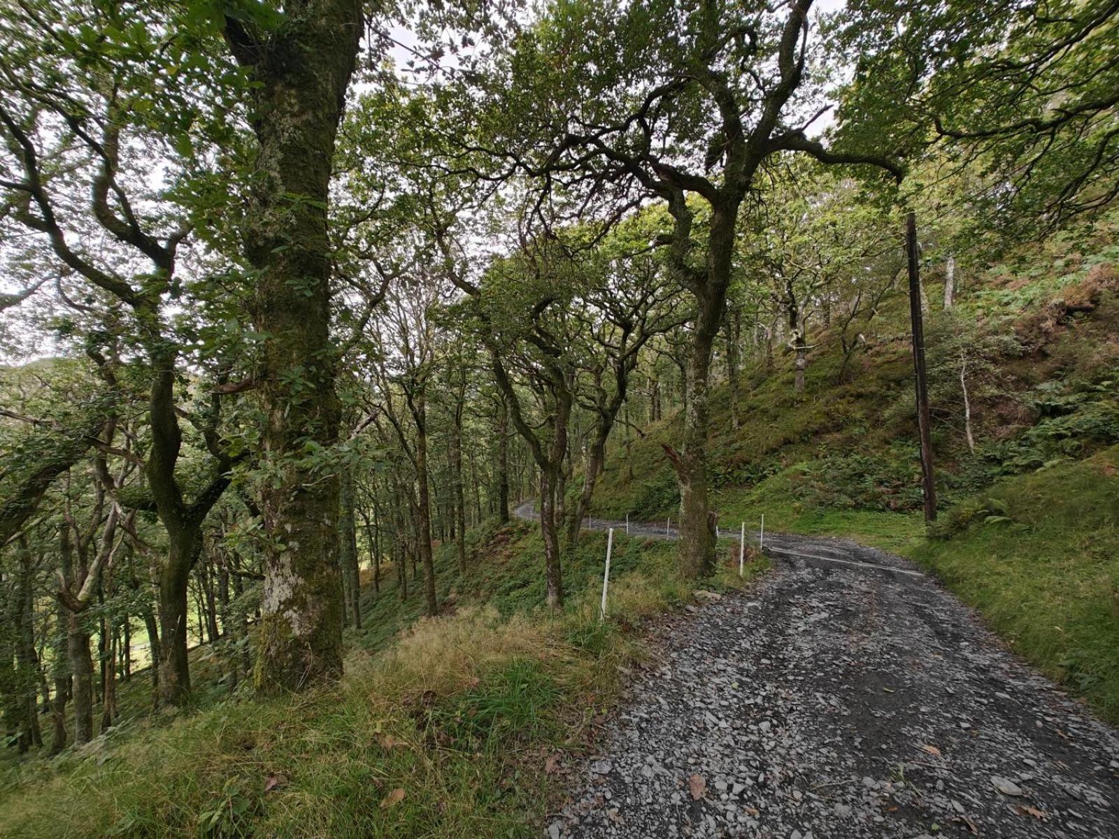 ドルゲラウ Y Cwtch - Panoramic Mountain Views Within Snowdonia'S National Park - 4X4 Recommendedヴィラ エクステリア 写真